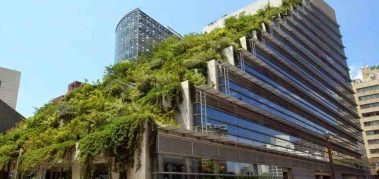 Los edificios ‘verdes’ podrían aumentar la productividad