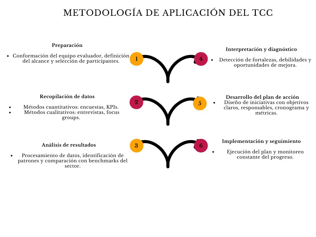 alt=" "
Diagrama metodología de aplicación del TCC