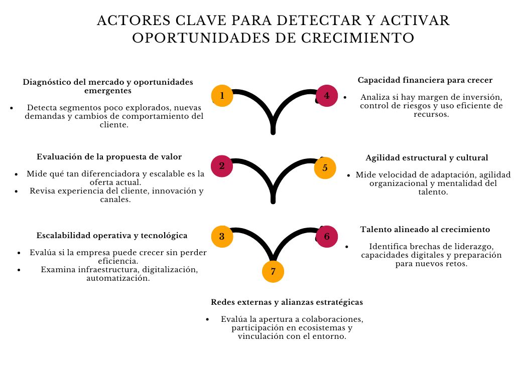 alt=" "
Diagrama actores clave para detectar y activar oportunidades de crecimiento