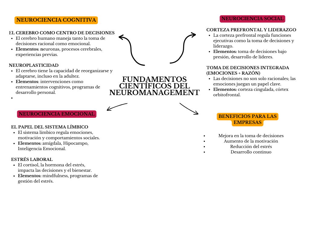 alt=" "
Mapa fundamentos científicos del neuromanagement